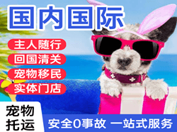 无锡航空空运国际宠物托运 【国